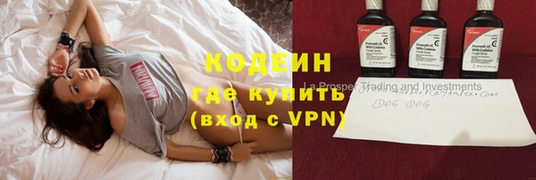 ГАЛЛЮЦИНОГЕННЫЕ ГРИБЫ Бородино